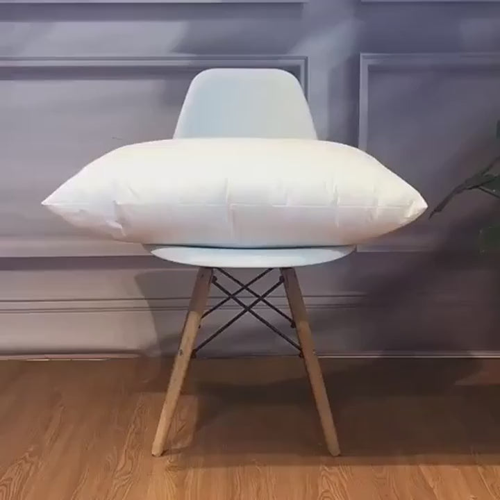 One piece set standard white high rebound pillow cushion core sofa car seat home interior decoration pillow 30x50cm